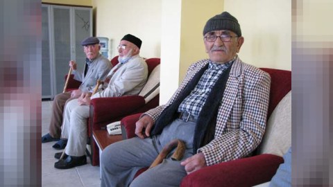 Qocalar evində neçə ahıl yaşayır? - Nazirlik AÇIQLADI