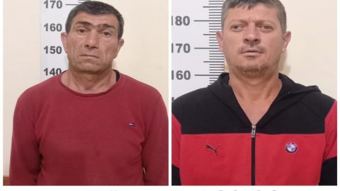 Yevlaxda 592 ədəd çətənə kolu əkənlər saxlanıldı