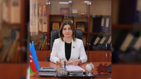 Məktəb direktoru yazır: Gəncləri cinayətkar davranışlardan necə qoruyaq?