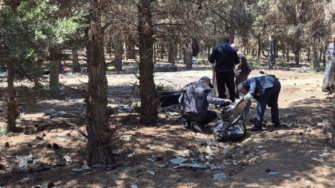 Abşeronda 64 ağacın məhv edildiyi yaşıllıq sahəsi bərpa olundu