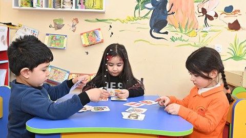 Bağçalara sənəd qəbulu DAYANDIRILIR