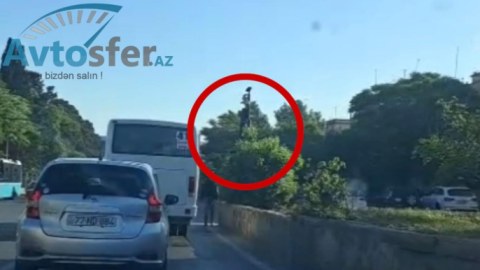 İşıqfor ağacın arxasında gizlənib, nişanlar isə yoxdur - VİDEO