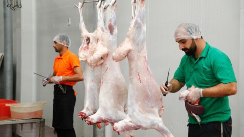 Qurban bayramında heyvanların satış və kəsim yerləri - ÜNVANLAR