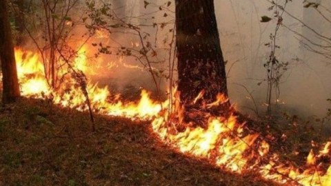 Yanğın təhlükəsizliyinə dair əhaliyə müraciət edildi