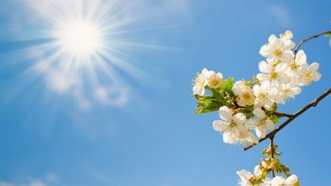Azərbaycanda hava durumu – 11 iyun üçün PROQNOZ