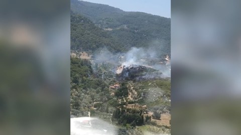 Türkiyədə güclü meşə yanğını - 1 təyyarə, 4 helikopter cəlb olundu