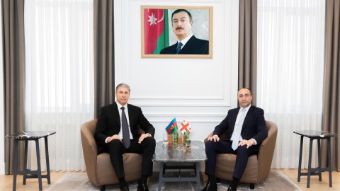 Gürcüstanın daxili işlər naziri Bakıya gəldi - FOTO