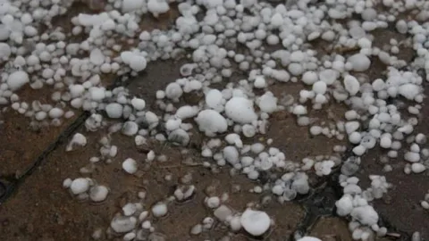 Qazaxın kəndlərinə dolu yağıb - FAKTİKİ HAVA