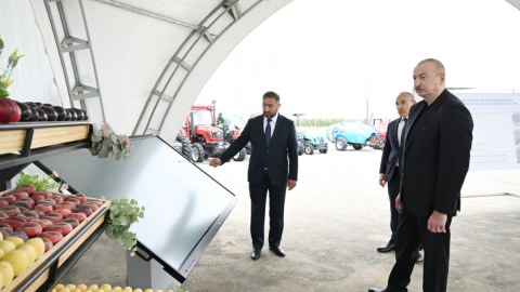 Prezident Yevlaxda aqroparkın&nbsp;açılışında