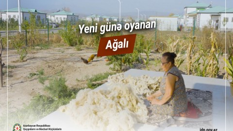 Yeni günə oyanan Ağalı -&nbsp;VİDEO