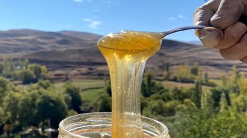 Azərbaycanda bal bahalaşır