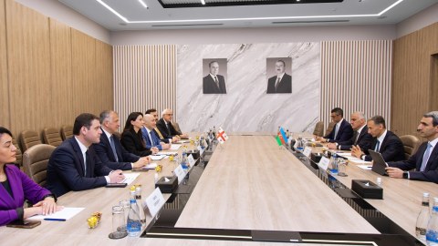 Rəşad Nəbiyev gürcüstanlı nazirlə müzakirə apardı