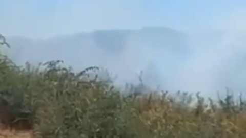 Cəlilabadda meşə YANIR