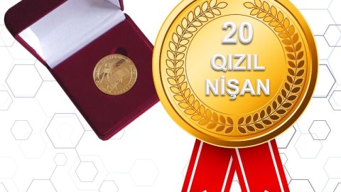 Bu liseyin məzunlarından rekord nəticə - 20 qızıl nişan!