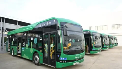 Bakıda yeni avtobus parkı - Ərazi məlum oldu