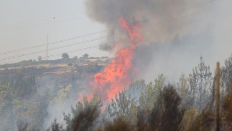 Füzulidəki&nbsp;yanğın nəzarətə götürüldü