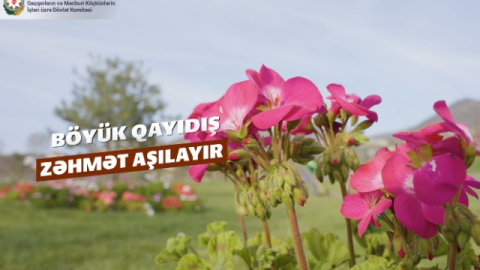 Böyük Qayıdış zəhmət aşılayır - VİDEO&nbsp;