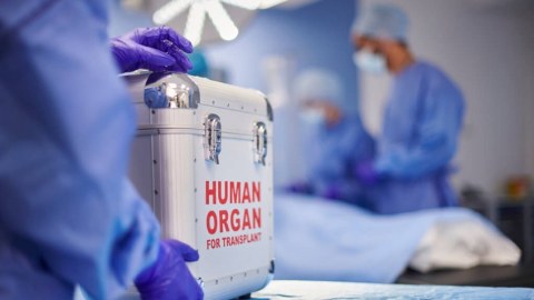 Azərbaycanda orqan köçürülməsi üçün 910 nəfər növbə gözləyir