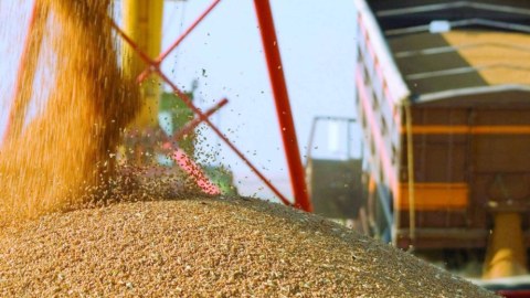 Azərbaycan Qazaxıstandan taxıl idxalını 120 dəfə artırıb