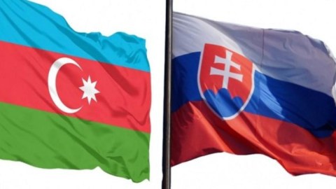 Azərbaycanla&nbsp;Slovakiya arasında siyasi məsləhətləşmələr