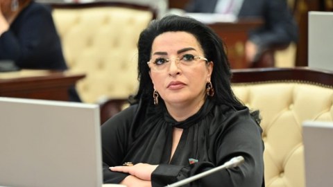 Azərbaycan bu yolda qalib mövqeyini qoruyacaq və gücləndirəcək - DEPUTAT