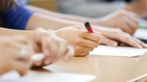 IV qrupda nə qədər plan yeri ayrılıb?
