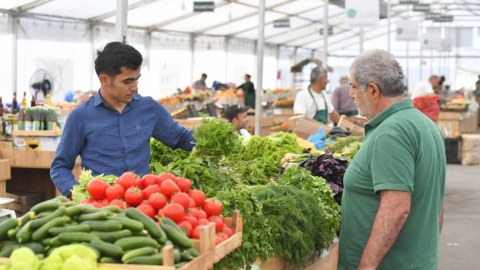 Bakıda “Kənddən Şəhərə” yarmarkası açılacaq