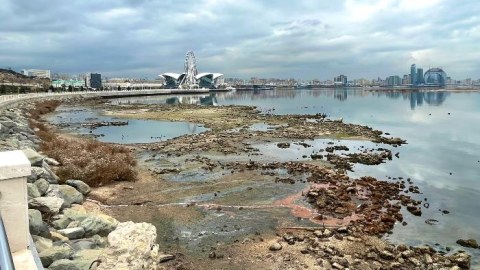 Xəzər dənizi yoxa çıxır - limanlar bağlana,&nbsp;suitilər məhv ola bilər
