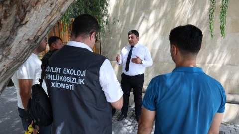 &ldquo;İçərişəhər&rdquo;də ağaclar nömrələnir - FOTO