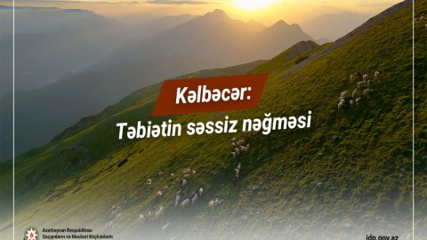 Kəlbəcər: Təbiətin səssiz nəğməsi -&nbsp;VİDEO