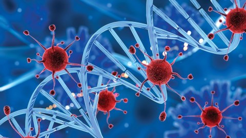 Alimlər yeni təhlükəli virus aşkarladılar