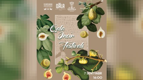 Qeyri-adi tədbir: Qala Əncir festivalı
