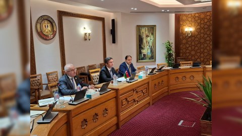 Nazir müavini Misirdə