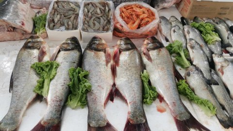 Bakıda balıq yarmarkası fəaliyyətə başladı - FOTO