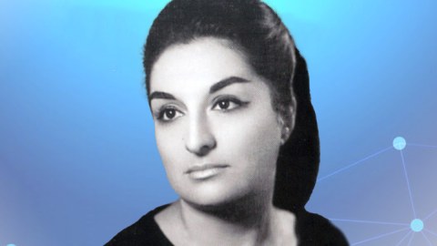 Nəciblik MÜCƏSSƏMƏSİ