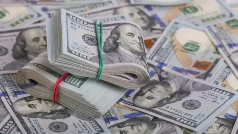Azərbaycan xaricə investisiya qoyuluşundan 528 milyon dolları gəlir qazanıb