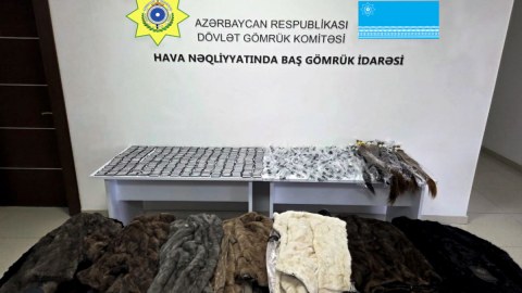 Gömrükdən gizlin keçirmək istədiyi mallar musadirə olundu