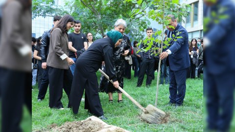 UNEC-də kök salan şəhidlər: Onların xatirəsi Xan çinarla əbədiləşdirildi