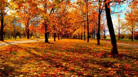Temperatur 28 dərəcəyədək yüksələcək - Sabahın havası
