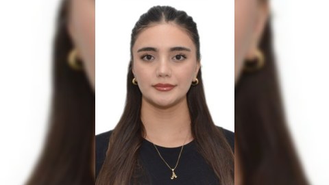 Reinteqrasiya, inkişaf və dövlətçilik konsepsiyası