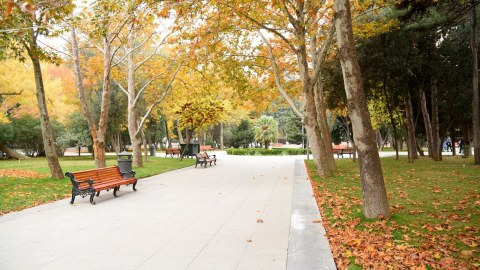 Sentyabrda aylıq temperatur iqlim normasından aşağı olub