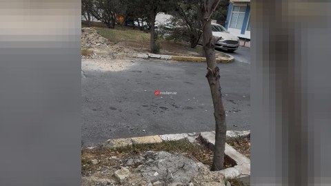 Bakıda ağacların dibini kim betonlayıb? - FOTOLAR