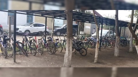 Bu kənddə şagirdlər məktəbə velosipedlə gedir