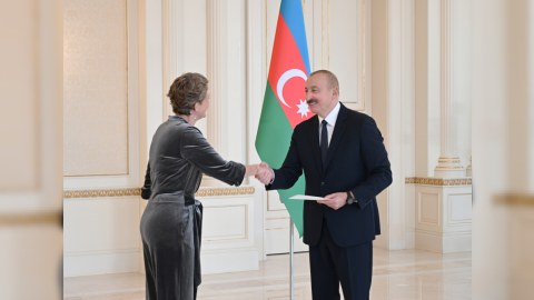 Prezident yeni səfirin etimadnaməsini qəbul edib - FOTOLAR
