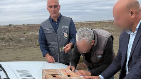 Neftçalada qanunsuz ov edən şəxs saxlanıldı