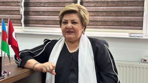 Siyavuş Novruzov məni saxtakar adlandırdı - Tənzilə Rüstəmxanlı hirsləndi