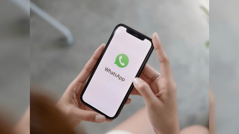 Votsapda yeni qayda