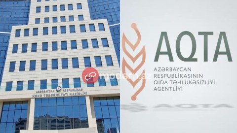 Dabaq xəstəliyi: Heyvanları kim peyvəndləməlidir? - Qurumlar məsuliyyəti bir-birinin üzərinə atdı