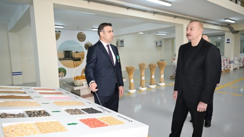 Prezident toxum istehsalı müəssisəsinin fəaliyyəti ilə tanış oldu - FOTO