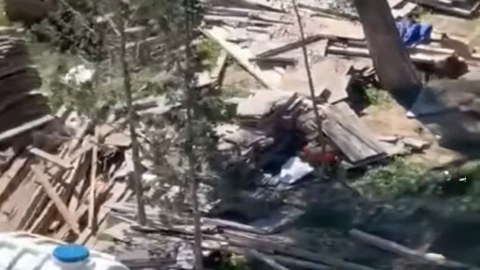 Sumqayıtda ağacları kəsdilər - Polis&nbsp;araşdırır